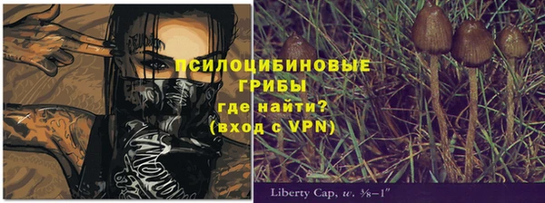 спиды Алексин
