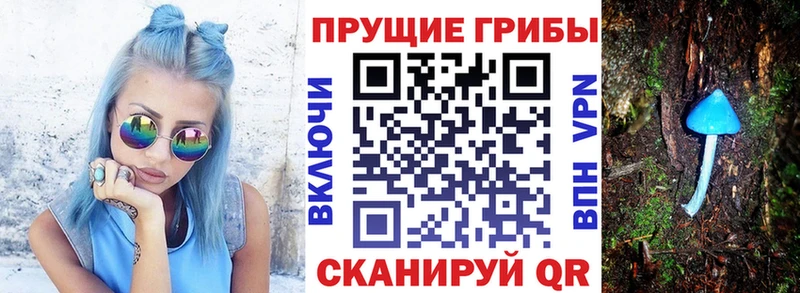 закладки  Опочка  Псилоцибиновые грибы GOLDEN TEACHER 